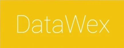 DataWex — logo